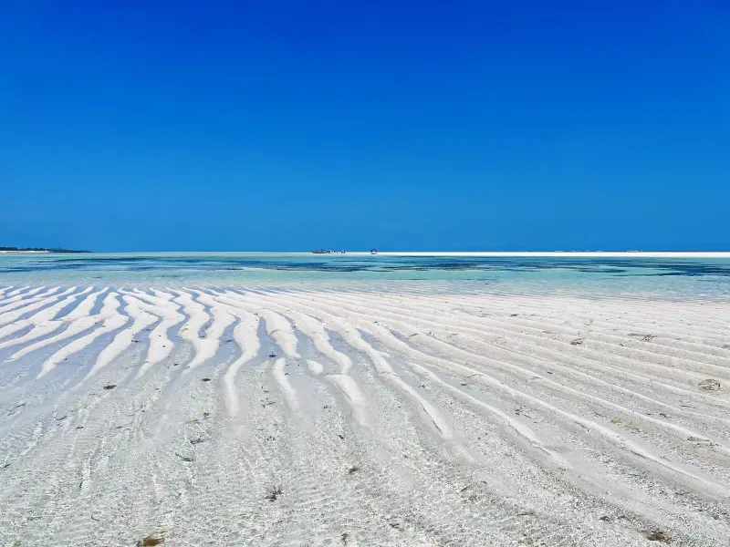 The 7 Best Beaches in Watamu, Kenya (2026): A Local's Guide to Sandbanks, Sunsets & Hidden Gems