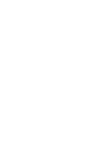 TAWI – Elegant Rooms in Watamu